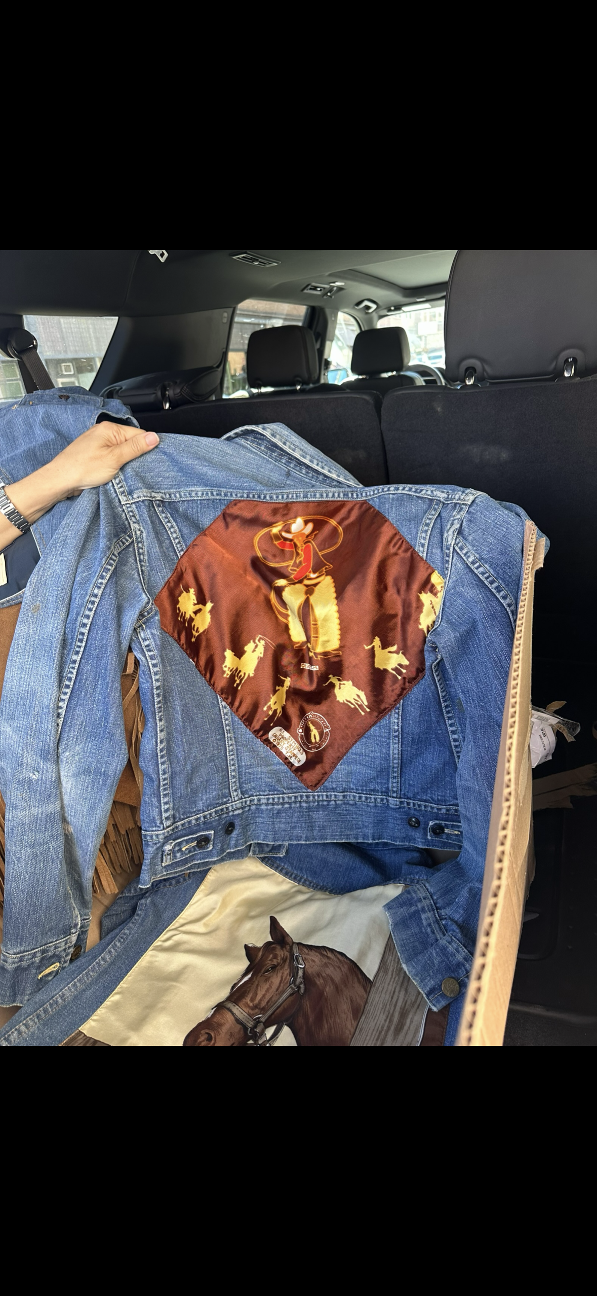 Denim Pony Denim Jacket 2