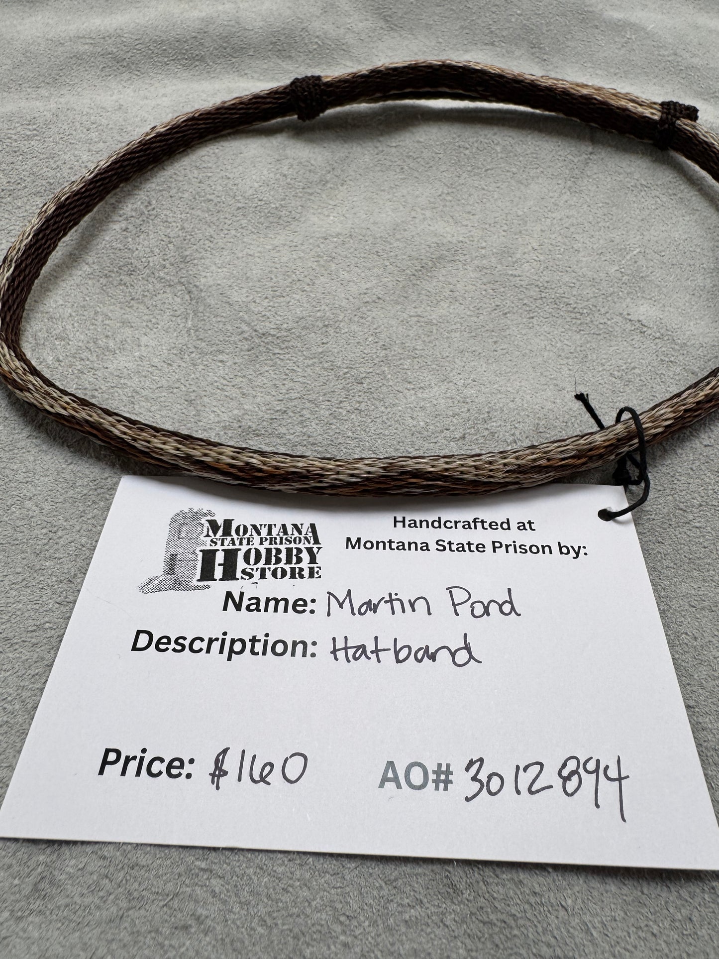 MSP Hat Band by Martin Pond