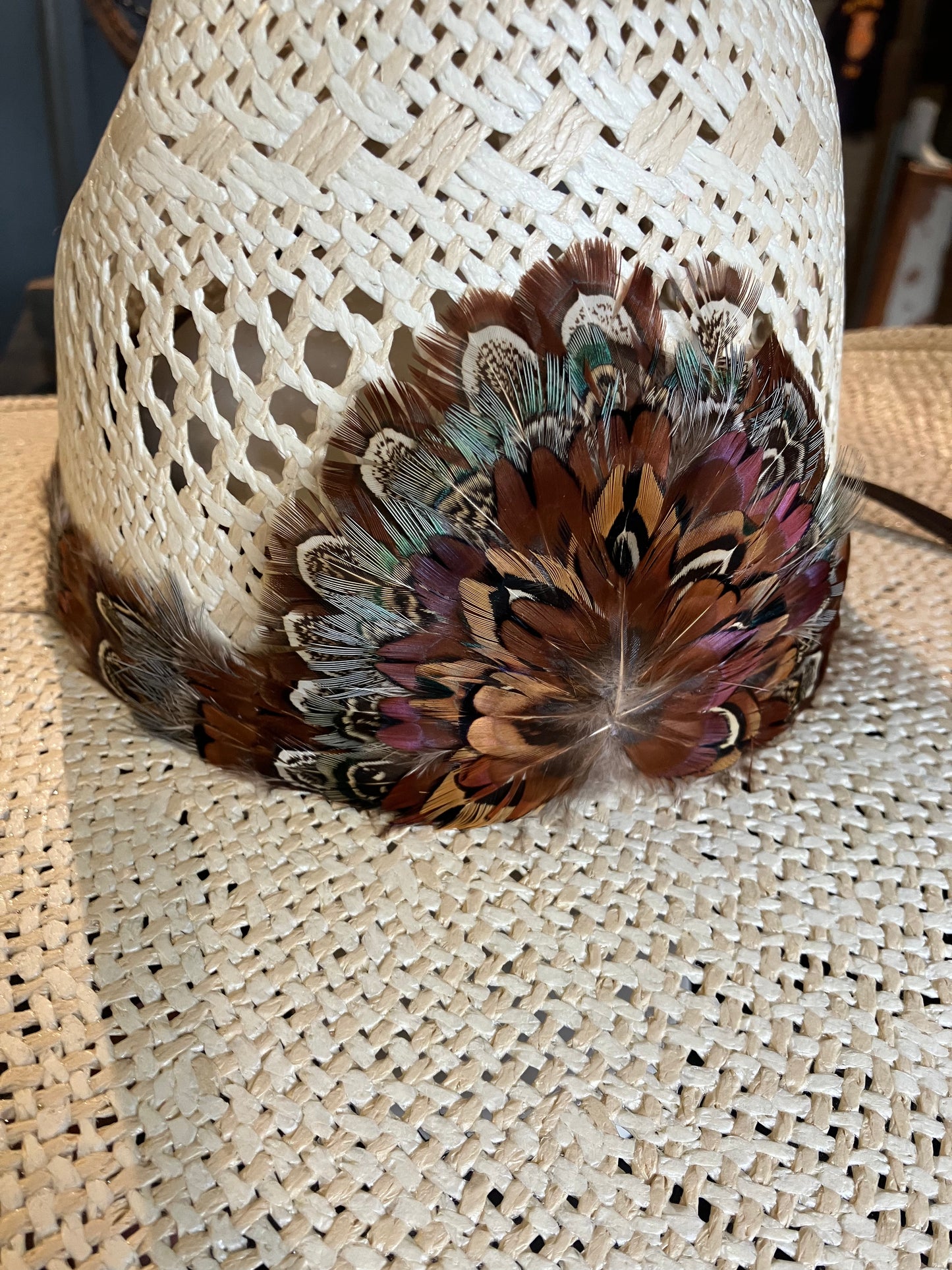 Assorted Feather Crown Hatband